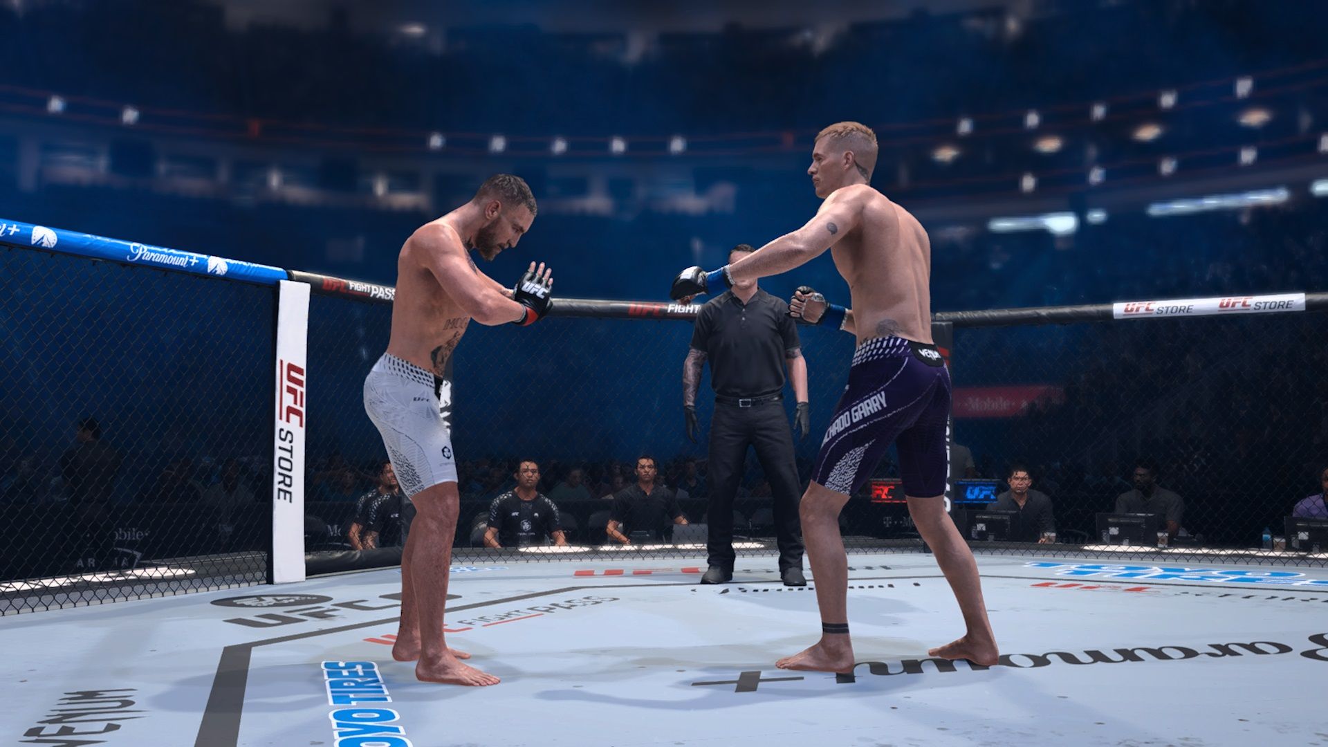 How to Touch Gloves & Emote in UFC 6
