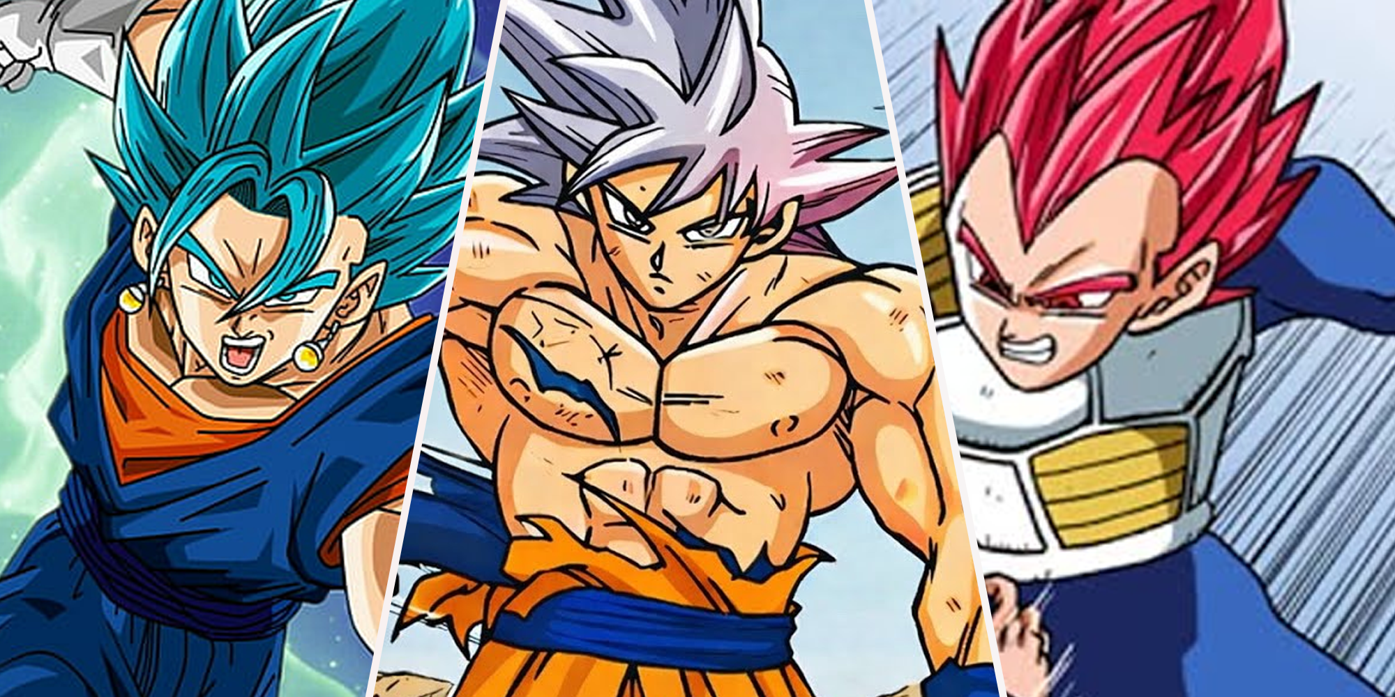 Super Saiyan Blue Vegit, Ultra Instinct Goku and Super Saiyan God Vegeta