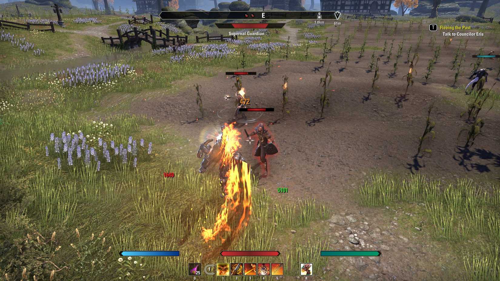 ESO Dragonknight Open World Combat