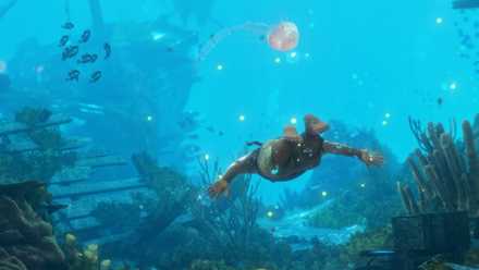 ac black flag resynced diving