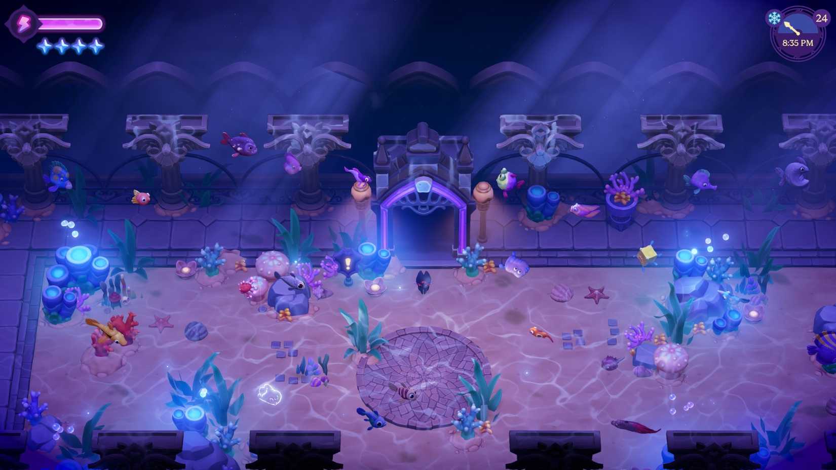 aquarium collection moonlight peaks