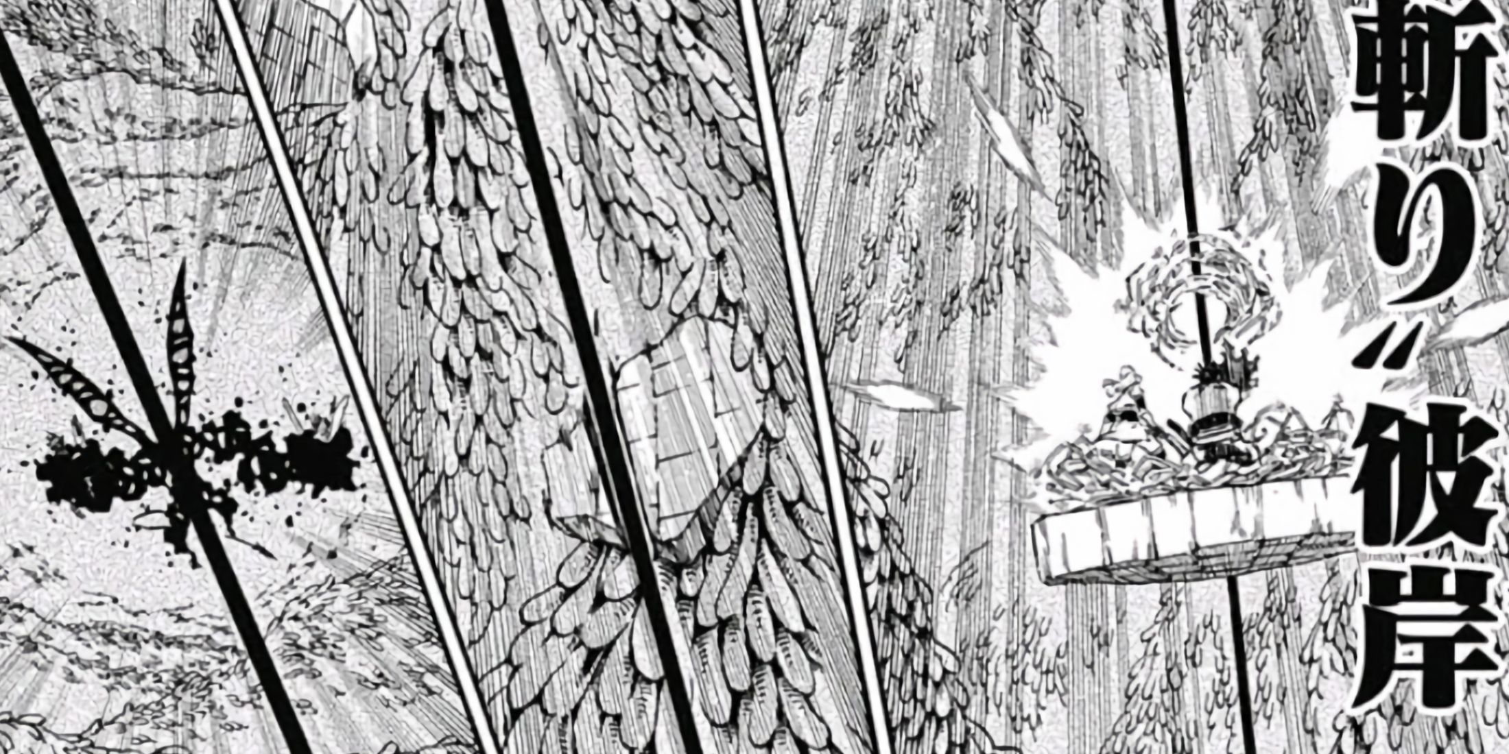 Asta's Dimensional Slash cutting through the world.