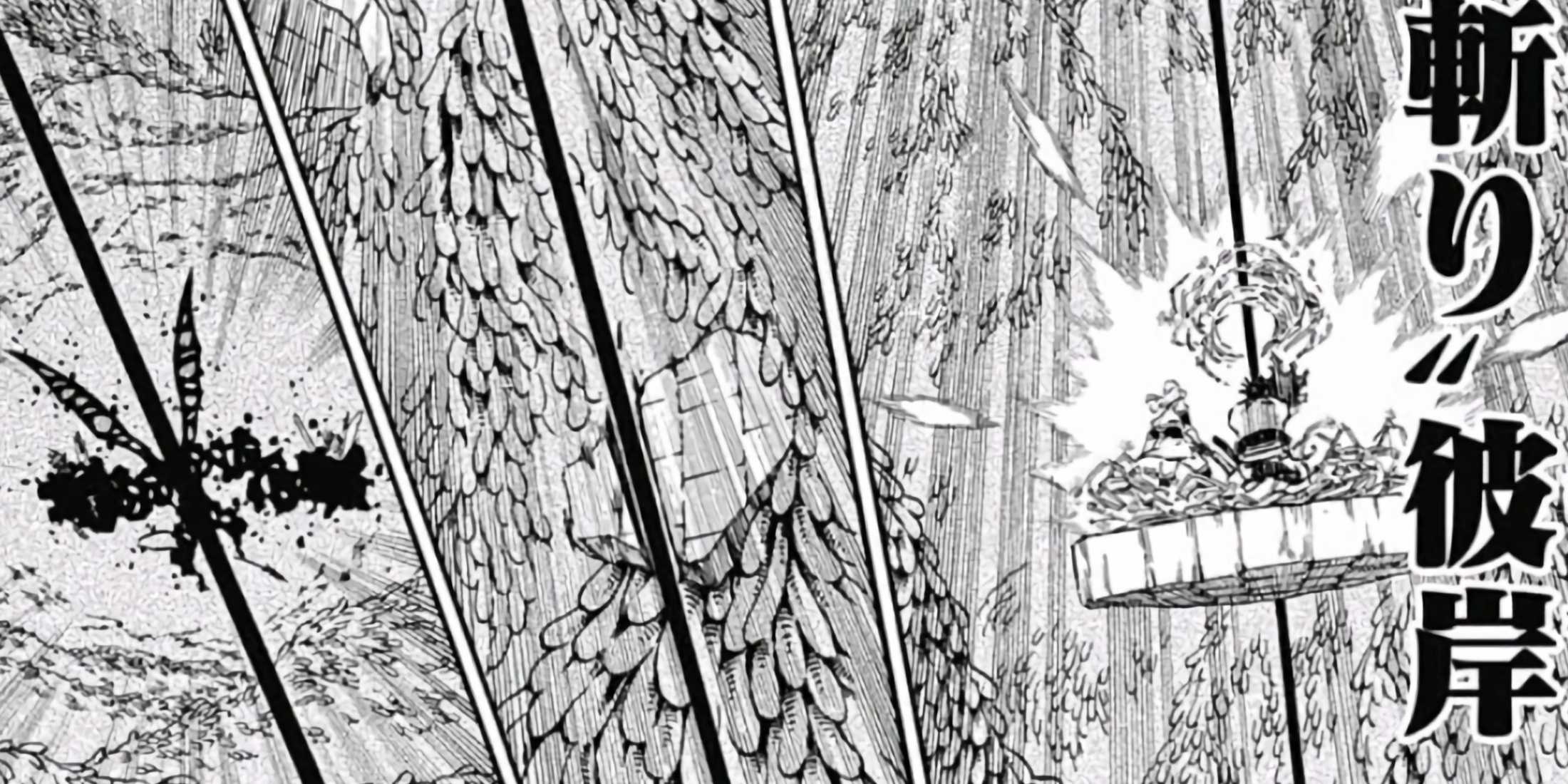 Asta's Dimensional Slash cutting through the world.