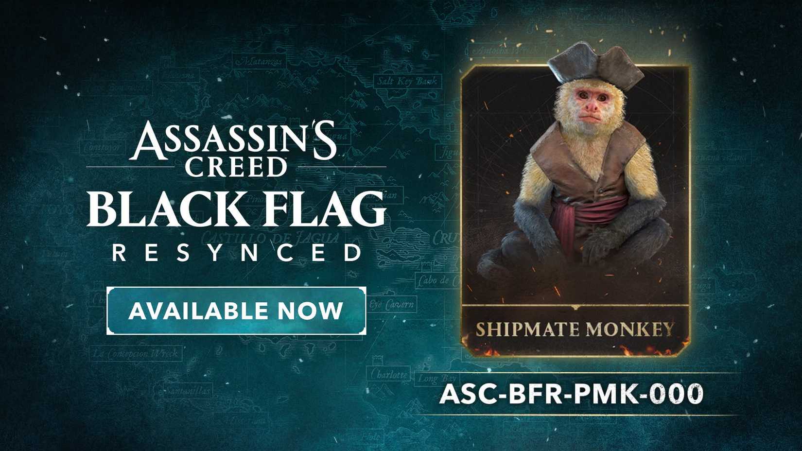 black-flag-resync-code-monkey-shipmate