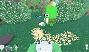 Flock Around birds