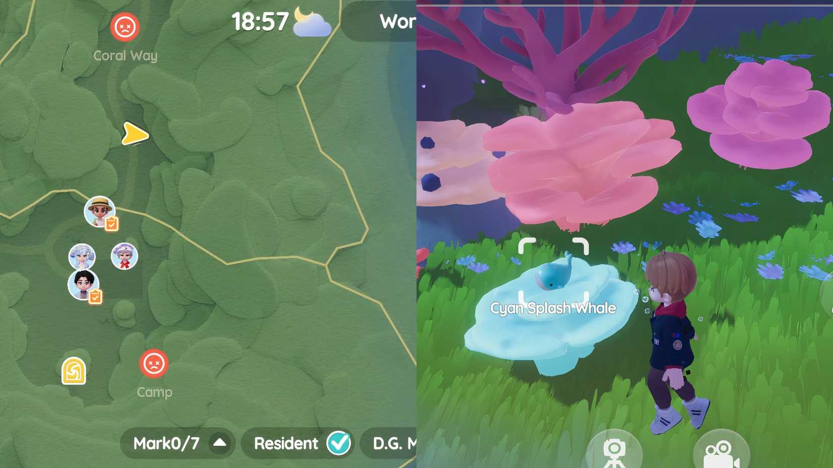 Hartopia San Splash Whale Location