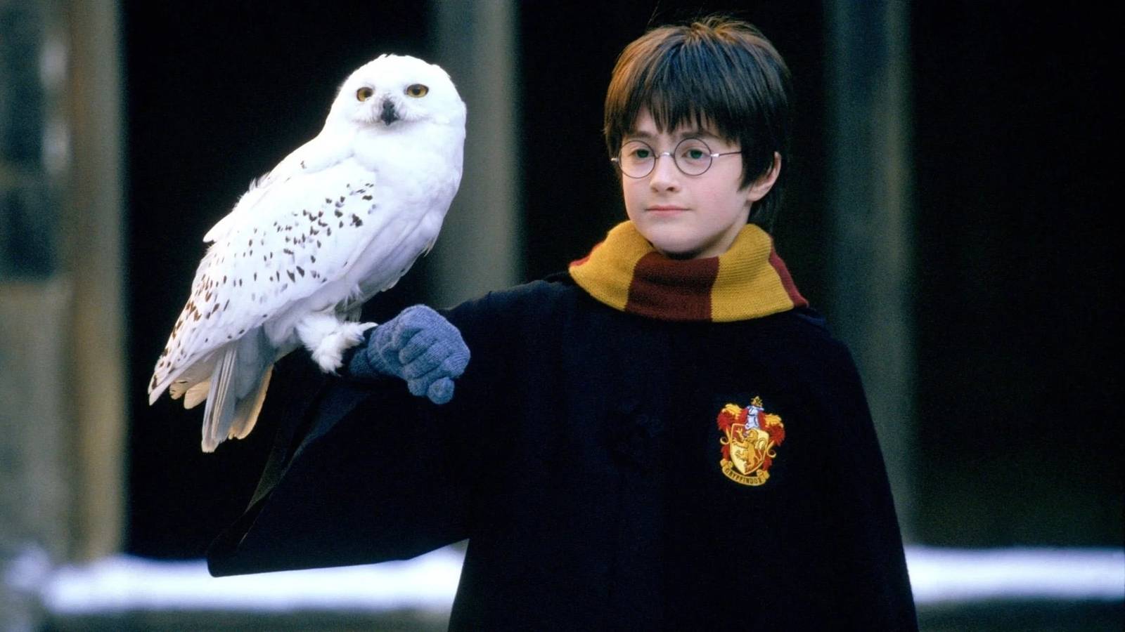 New Official Harry Potter Release is Coming This Month New Official Harry Potter Release is Coming This Month