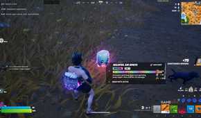 how to get an Air Sprite in Fortnite