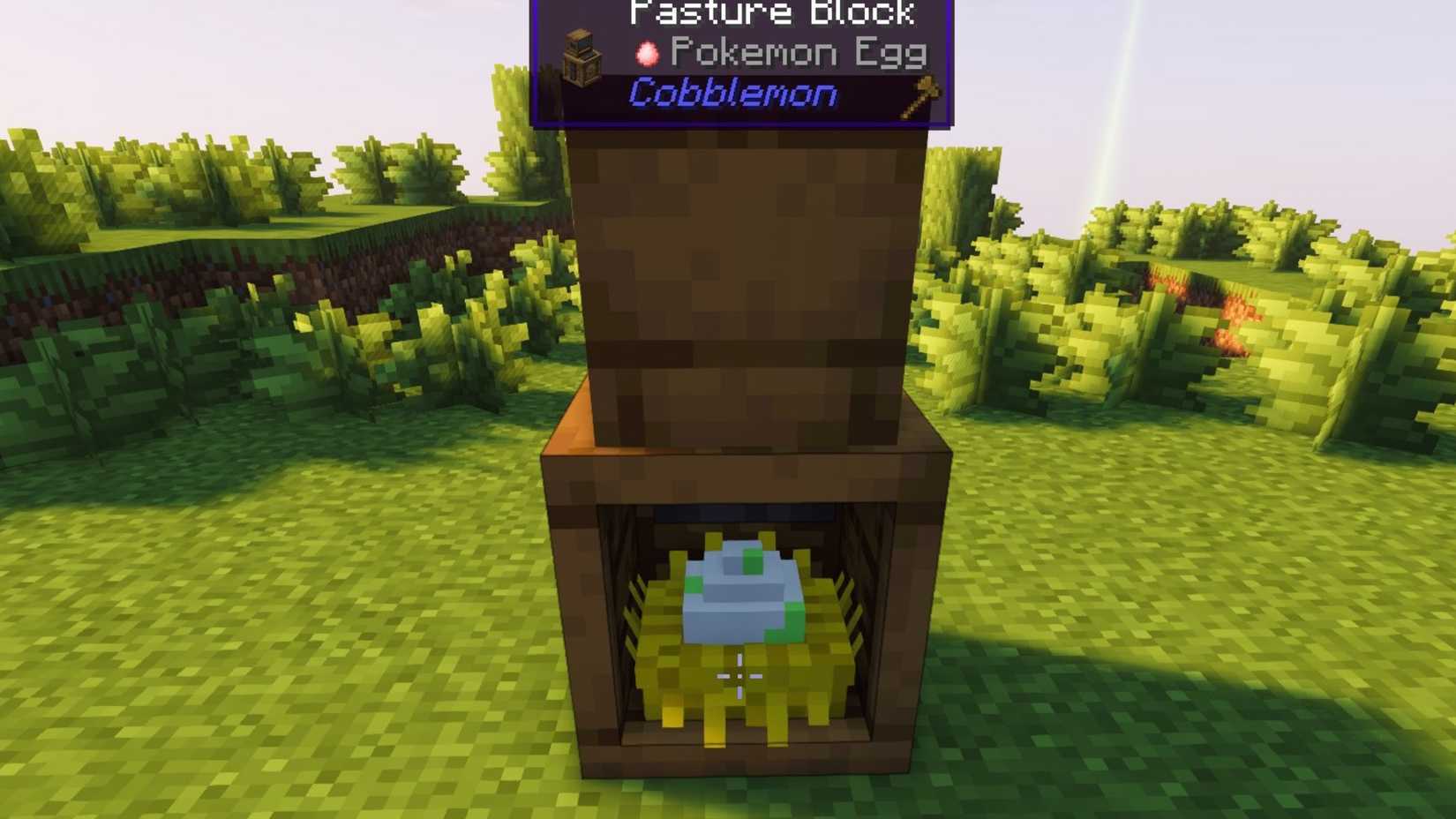 how to get eggs fast in cobblemon