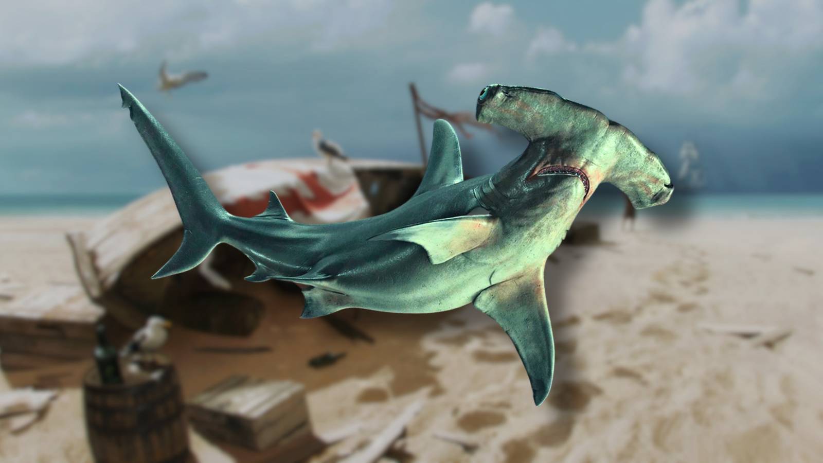 Assassin's Creed Black Flag Resynced: How to Get Hammerhead Shark Bone