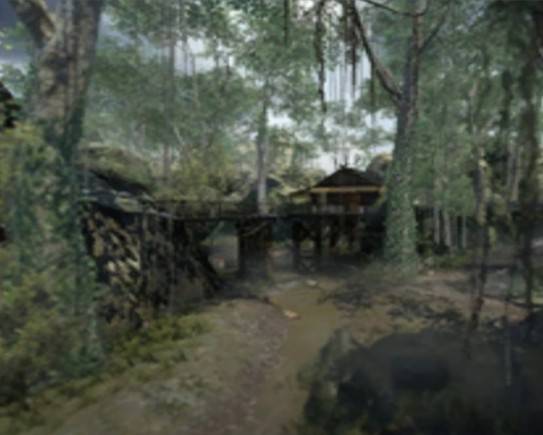 jungle