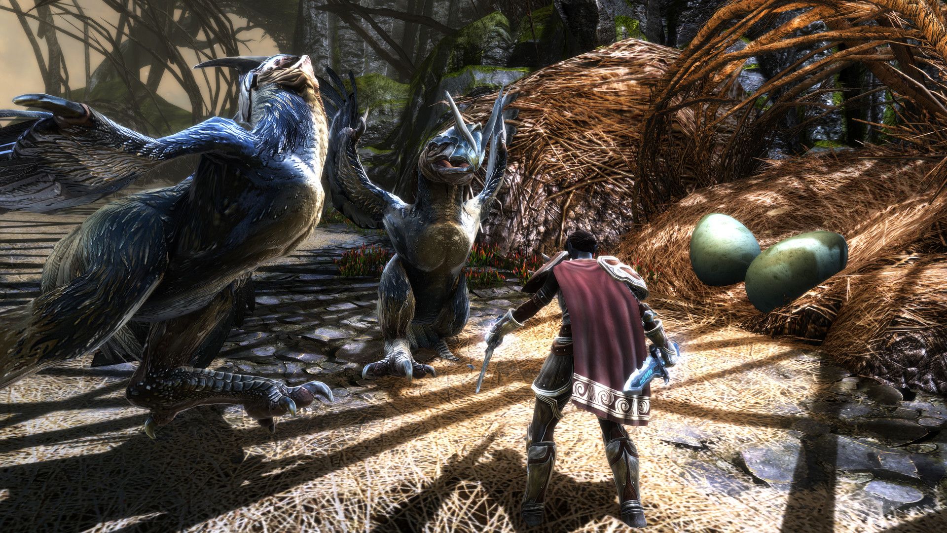 Kingdoms of Amalur Re-Reckoning Birds