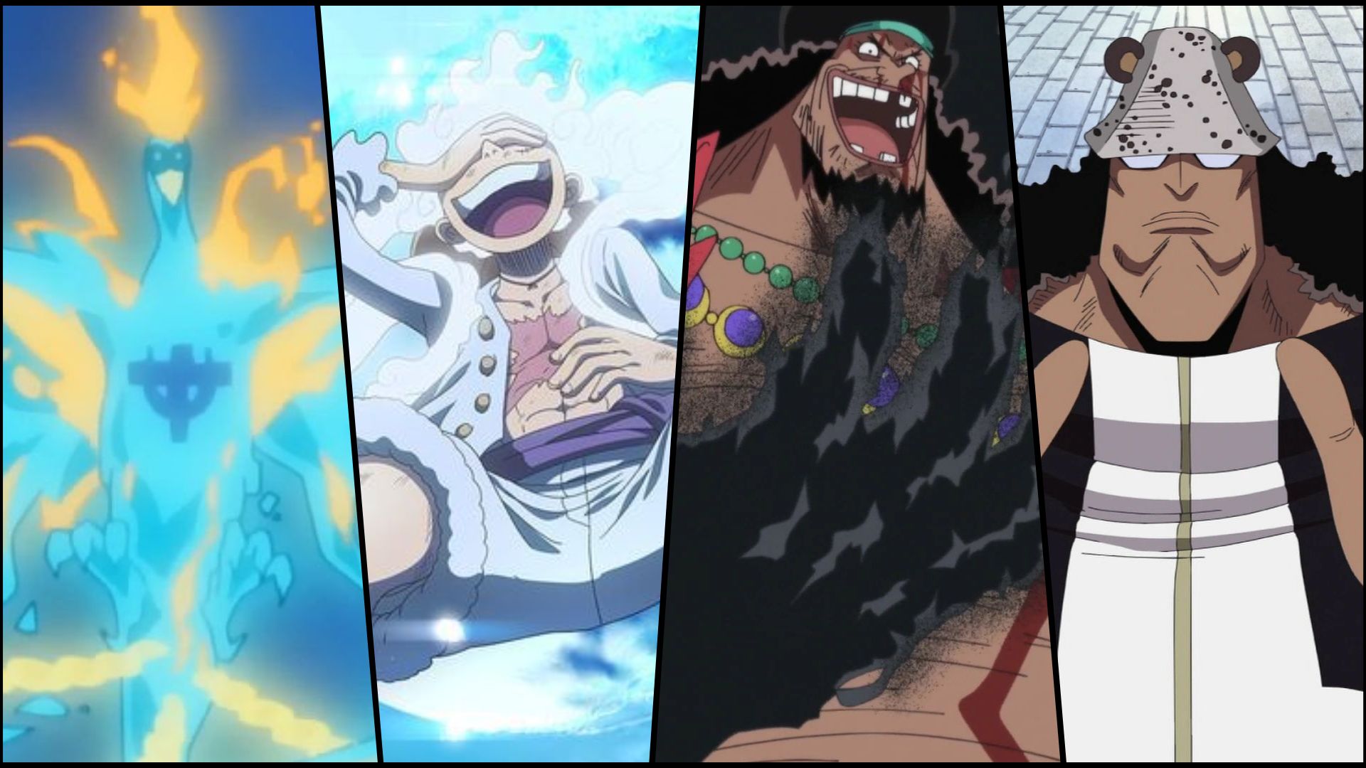 marco-luffy-blackbeard-kuma