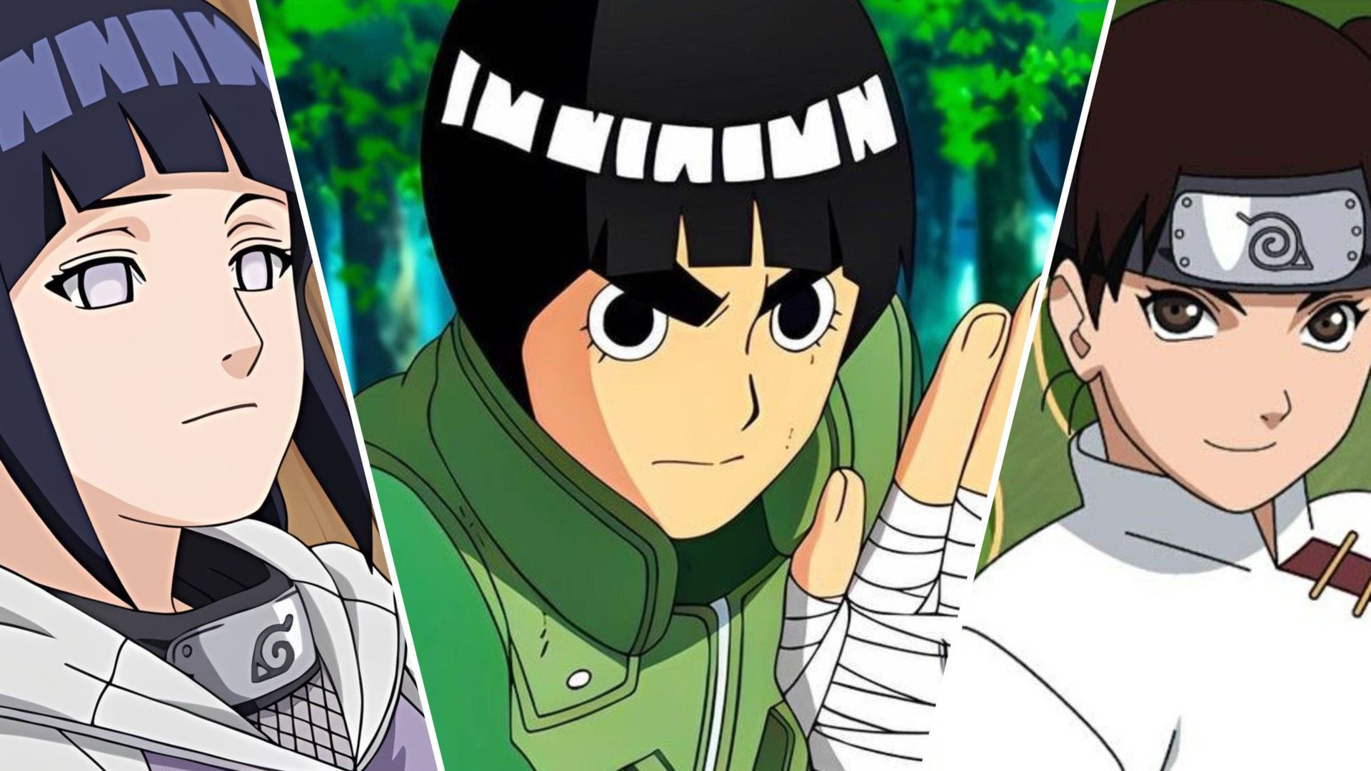 Image of Hinata, Rock Lee, and Tenten