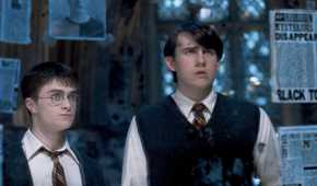 Neville and Harry in Harry Potter