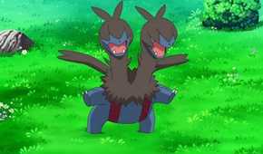 pokemon anime zweilous