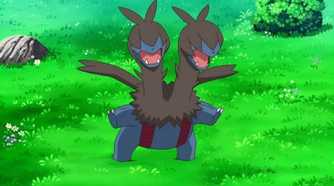 pokemon anime zweilous