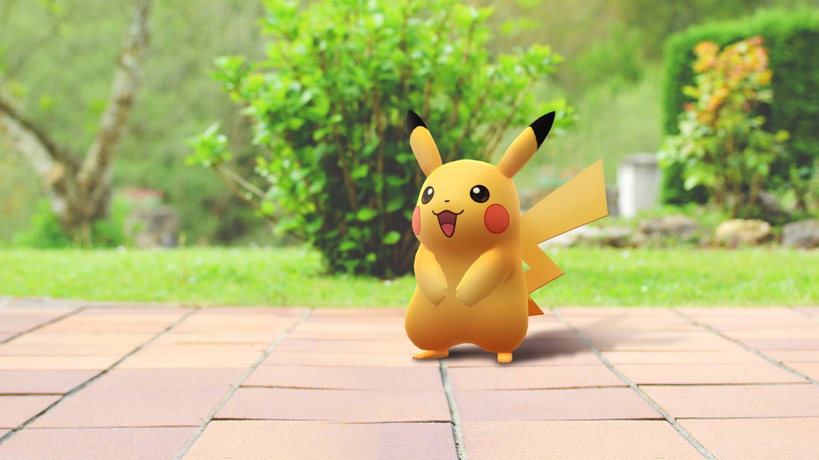 Pokemon GO Studio Teases Future Plans Pokemon GO Studio Teases Future Plans