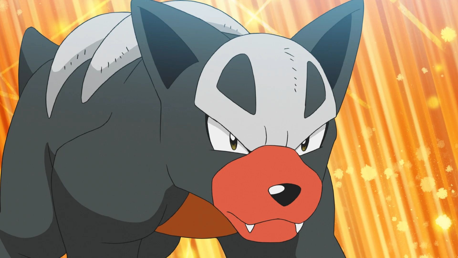 pokemon hondour