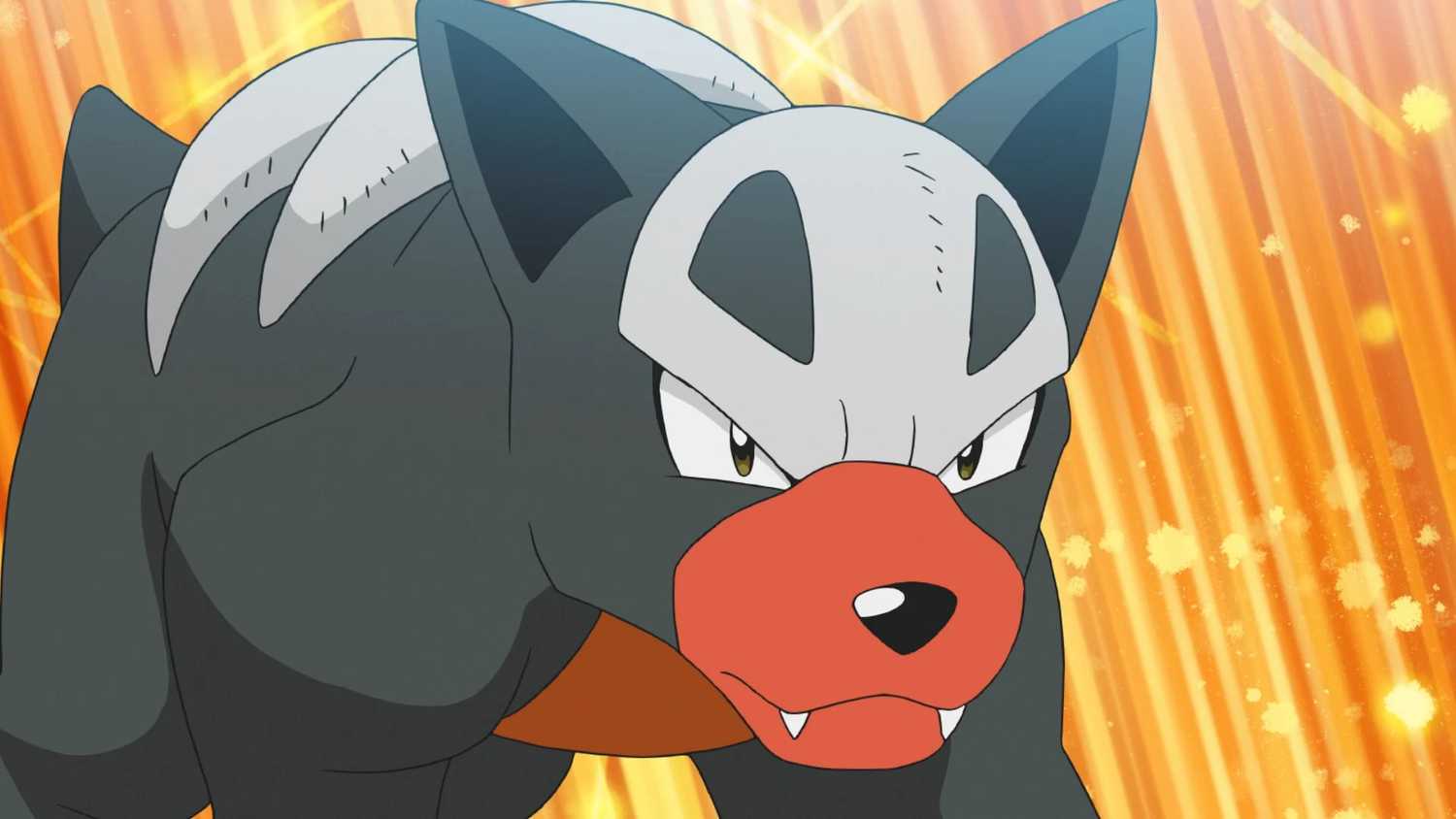 pokemon hondour