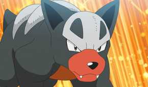 pokemon hondour