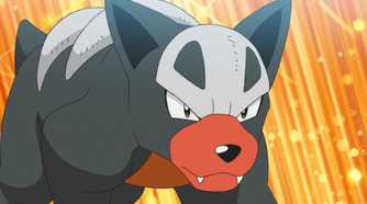pokemon hondour