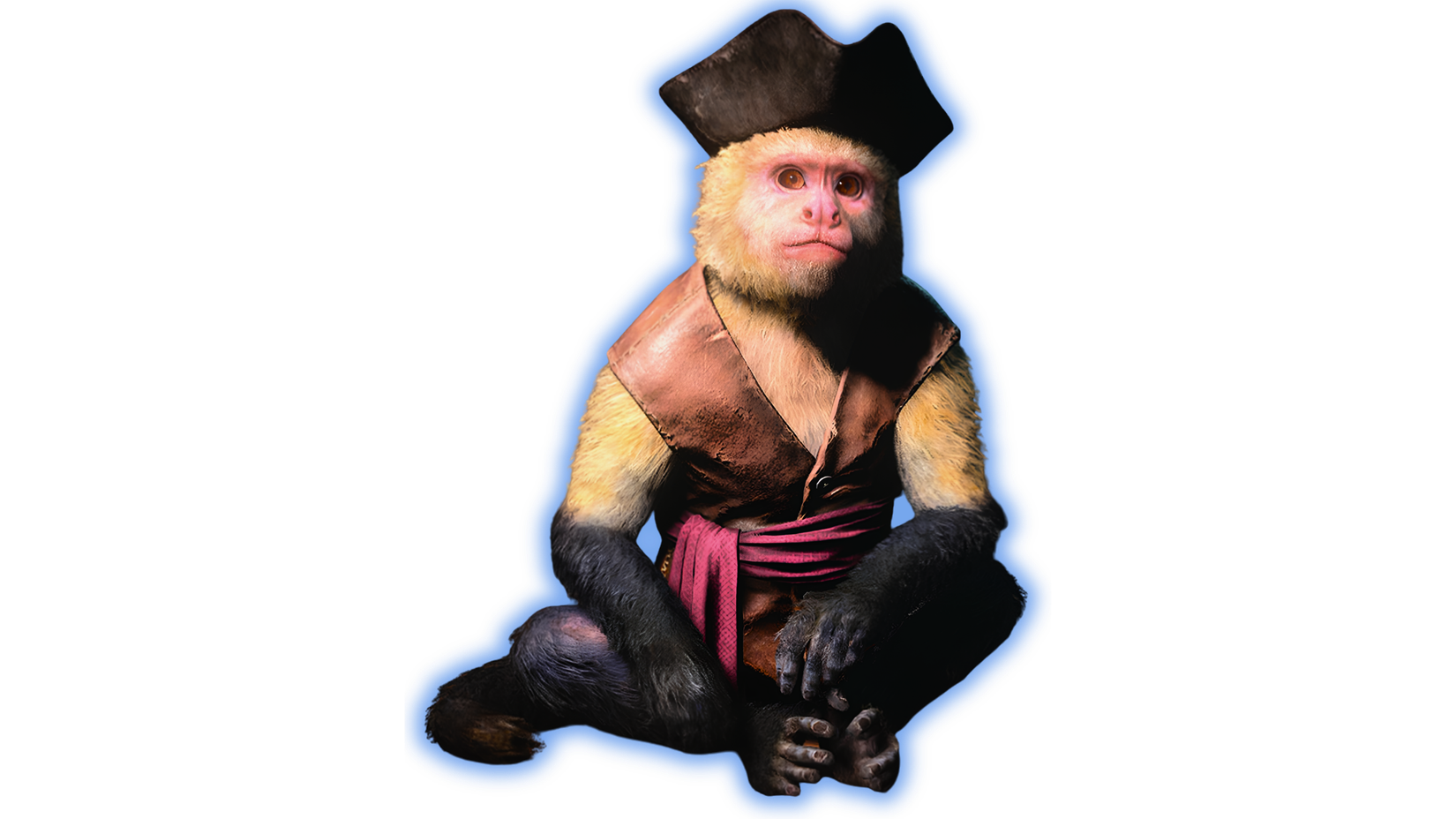 Shipmate Monkey AC Black Flag Resynced