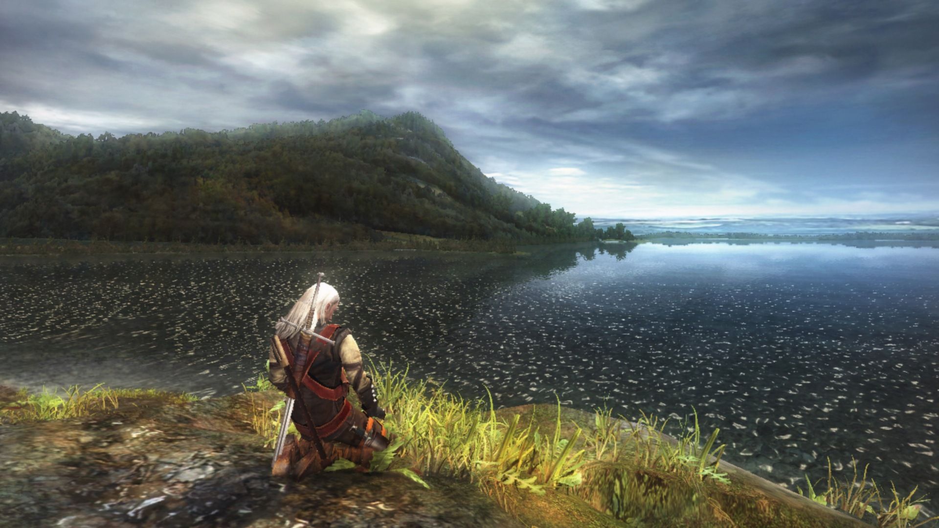 The Witcher Geralt Meditate