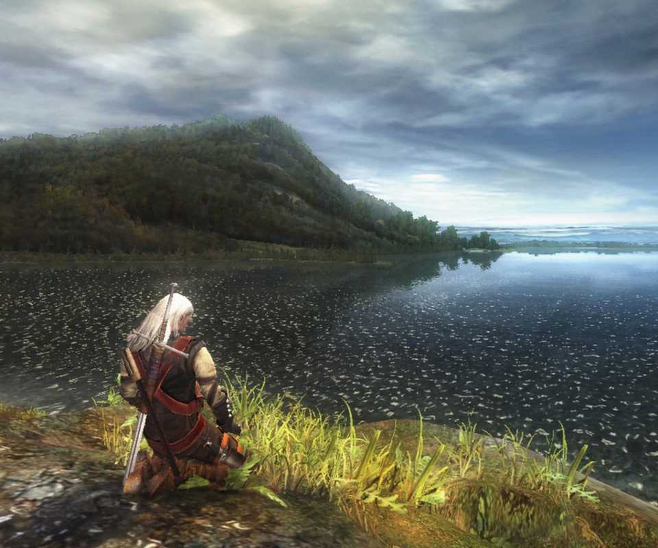 The Witcher Geralt Meditate