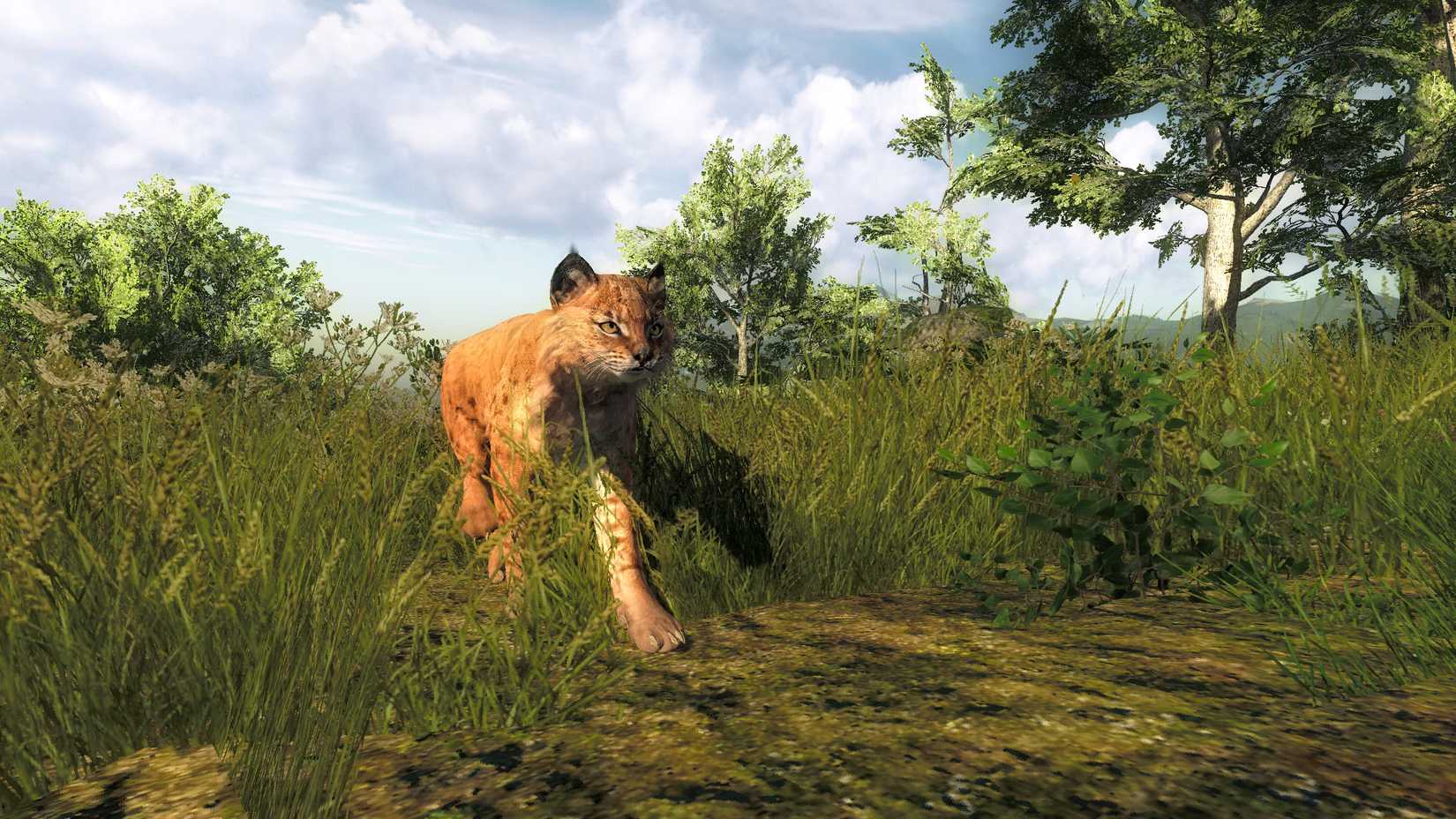 theHunter Classic 5