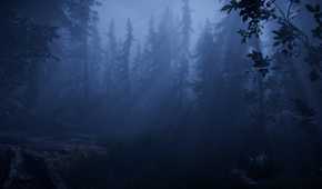 the scary forest area in together after dark.