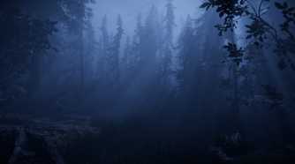 the scary forest area in together after dark.