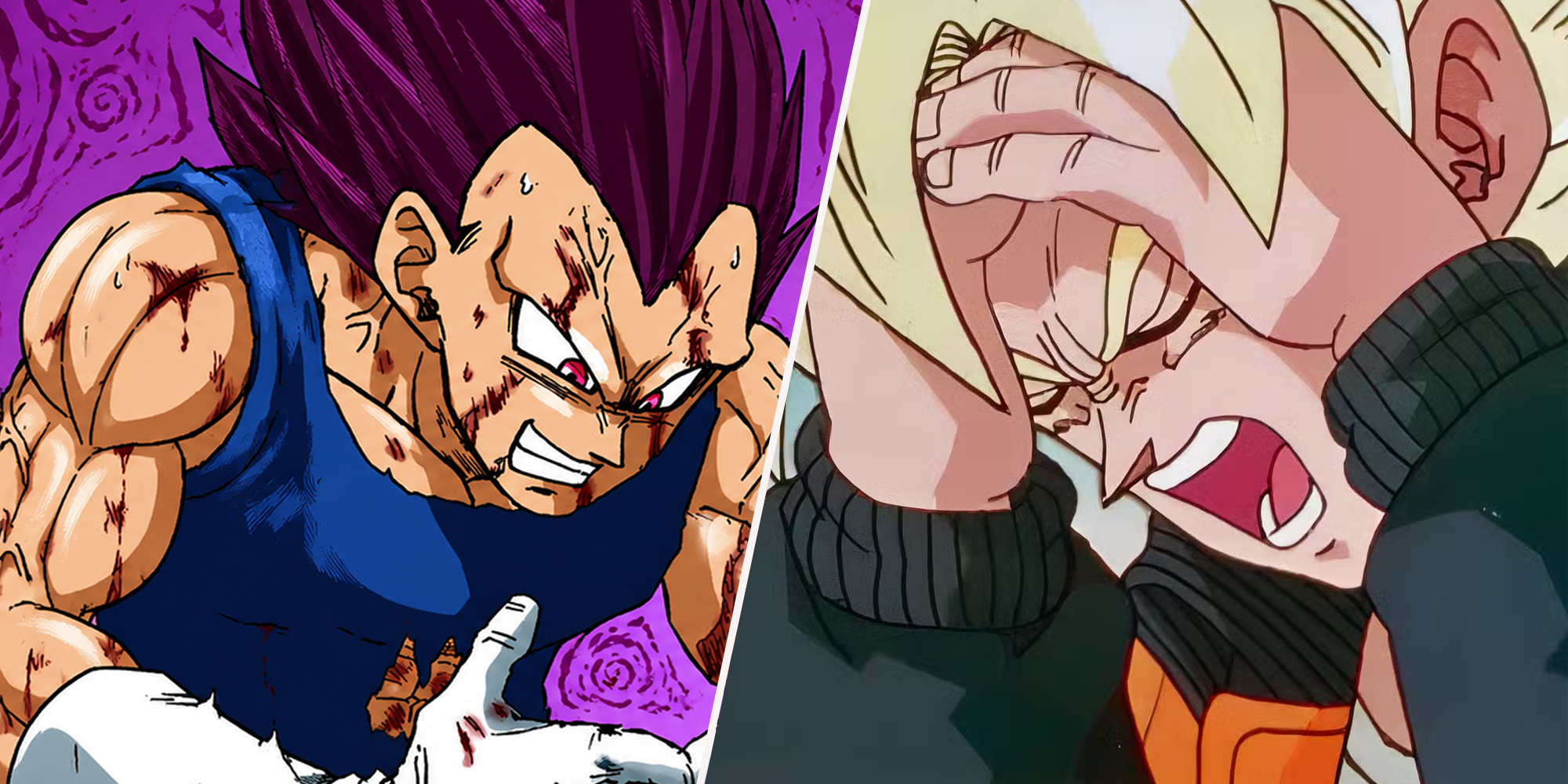Ultraego Vegeta and Super Saiyan Goku get hurt.