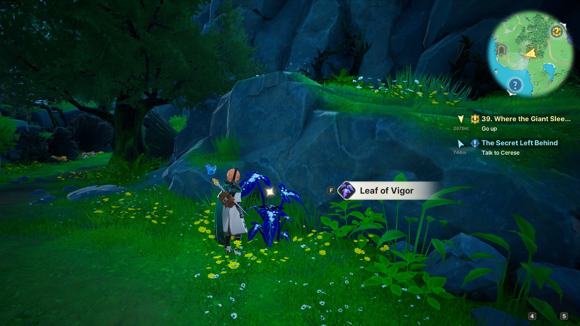 Местоположение Leaf of Vigor в DragonSword Awakening