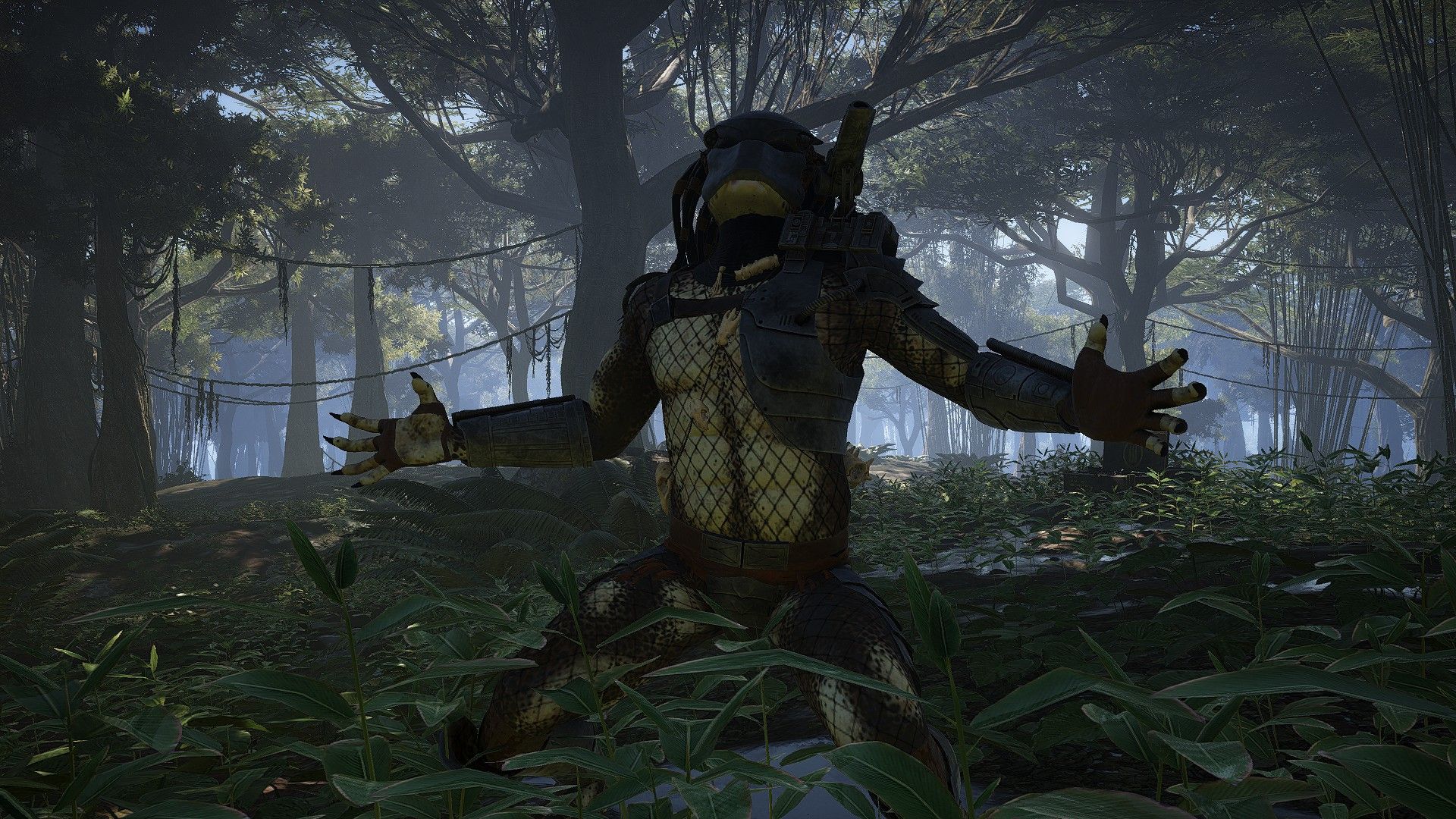 Ghost Recon Wildlands: The Jungle Moved Walkthrough (Predator Mission)