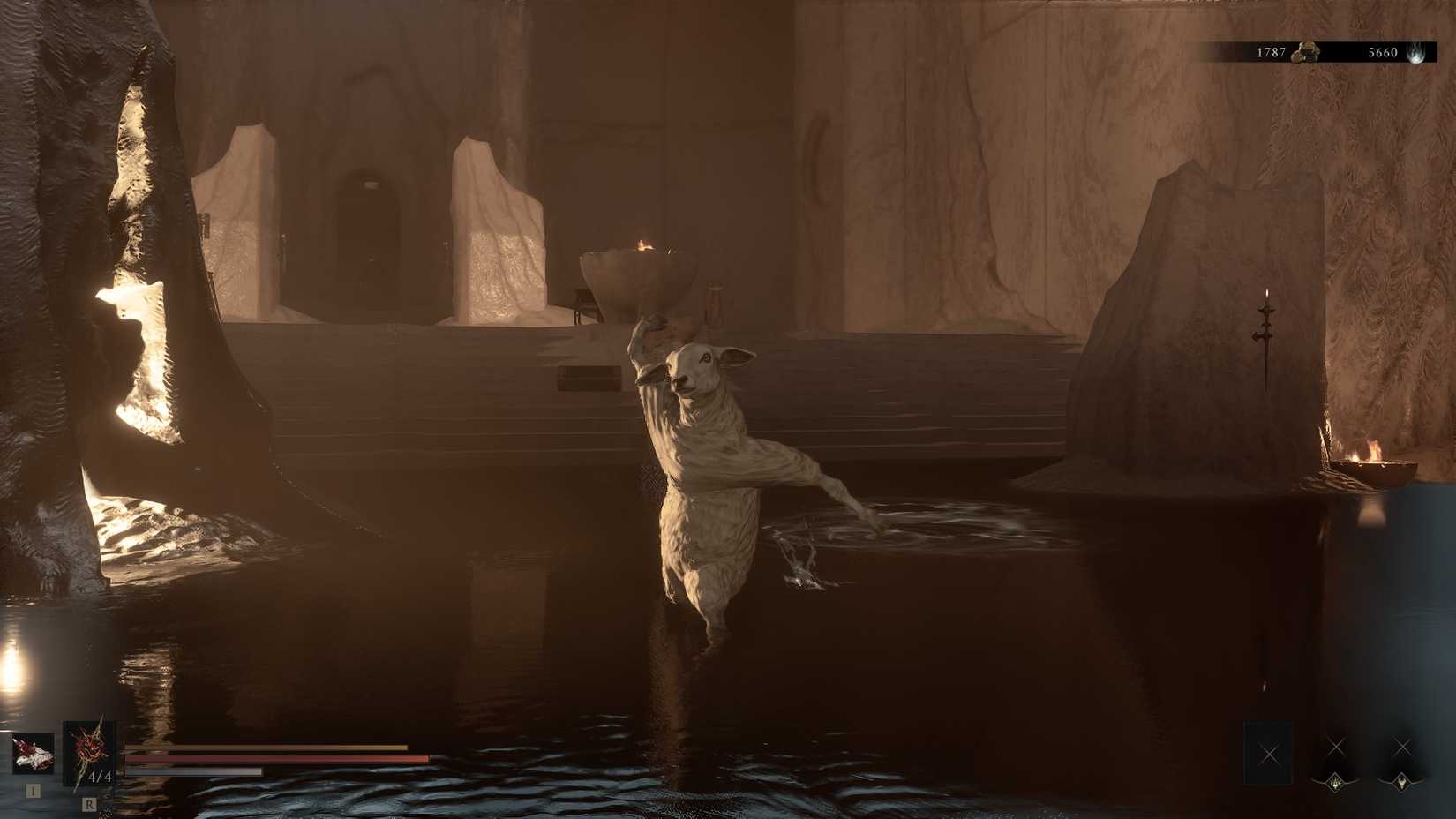 MS2 Sheep Form