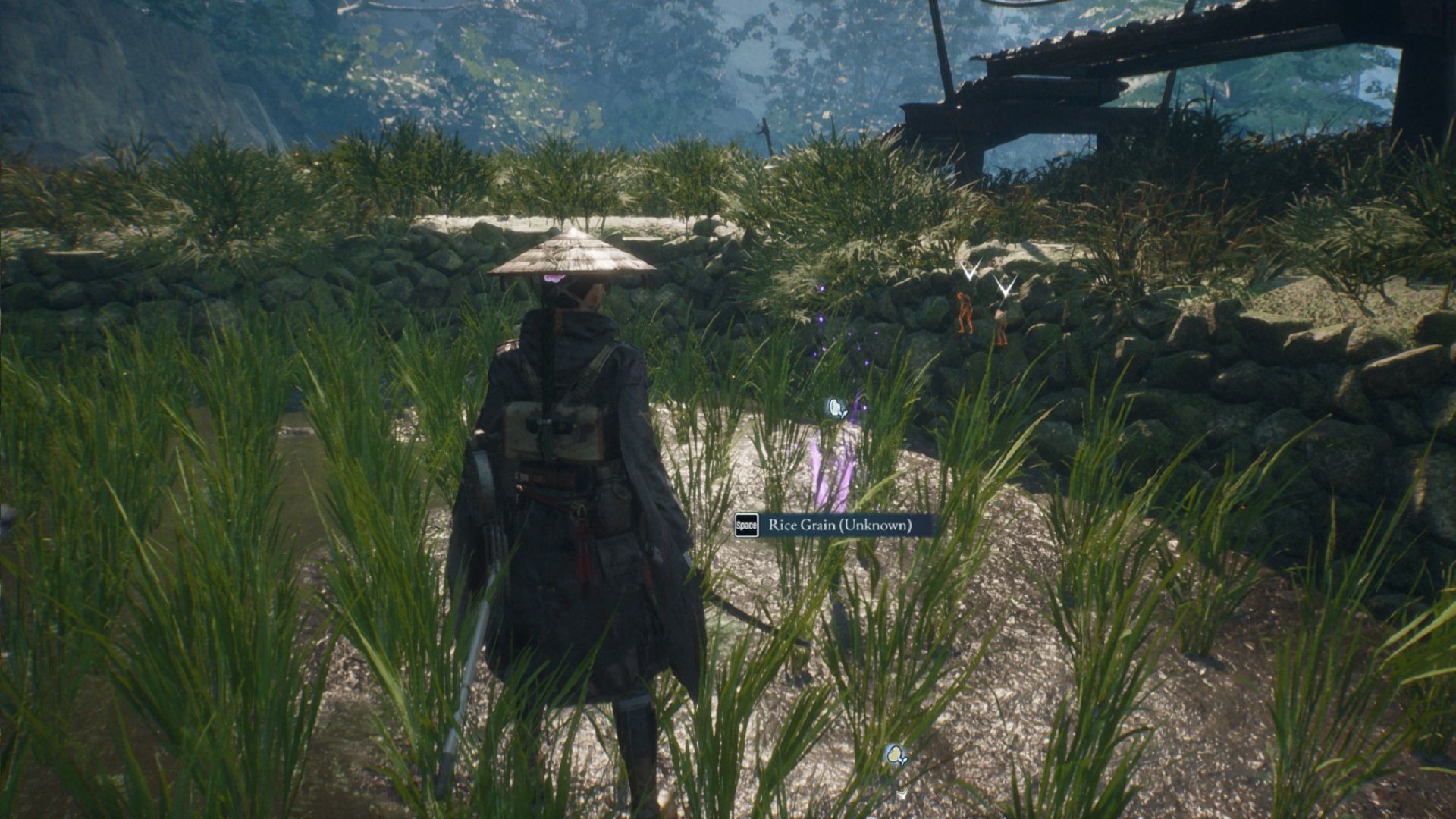 All Seedling Locations in Beast of Reincarnation