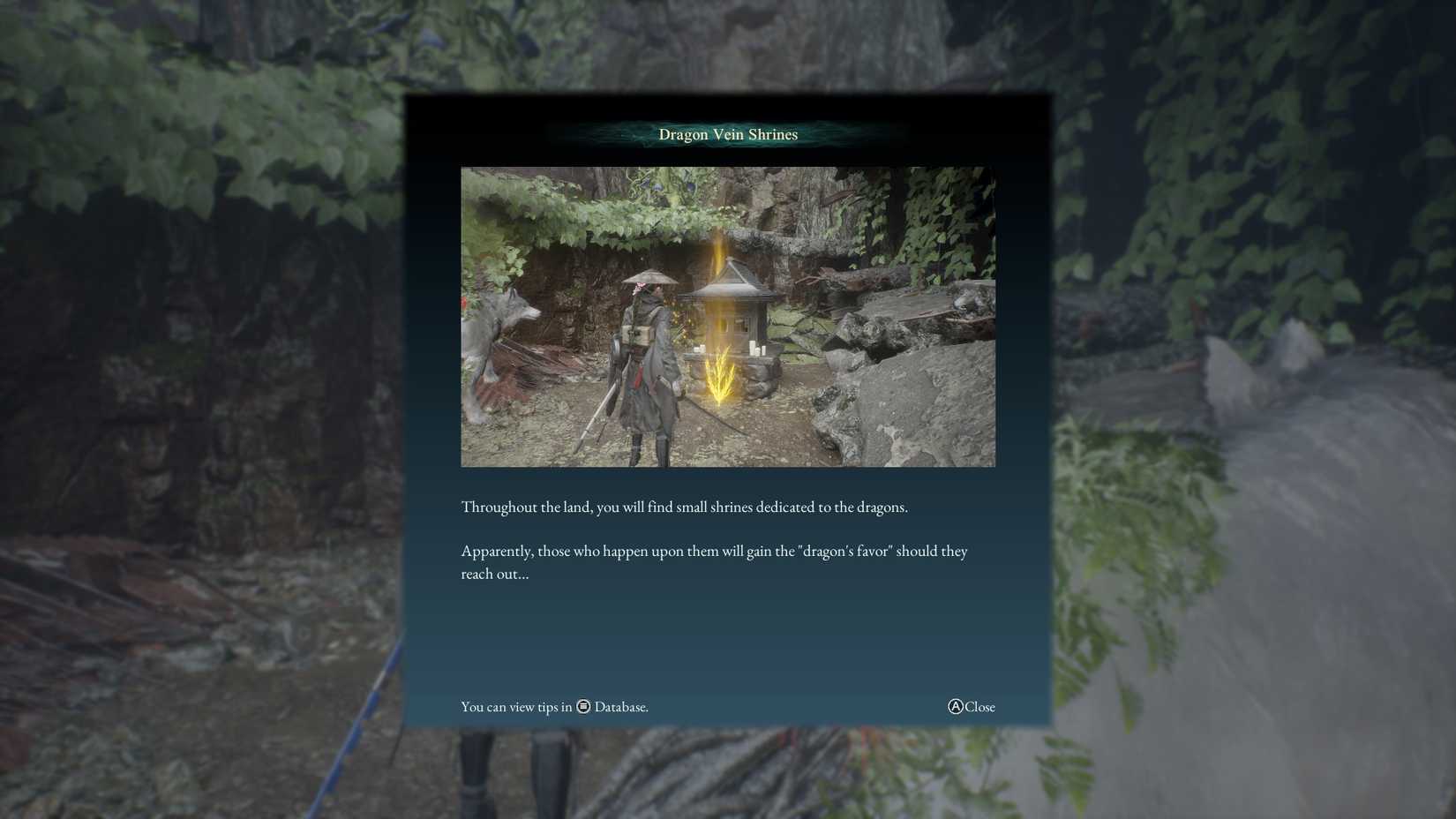 beast-of-reincarnation-bor-how-get-increase-stimpack-healing-vial-more-healing-stack-potion-hp - dragon vein shrine tutorial