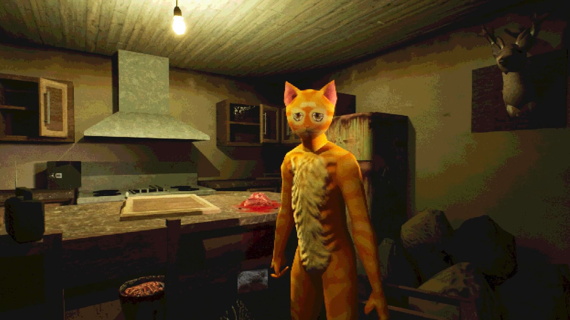 Cat Named Mojave