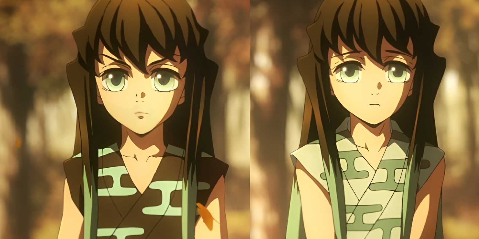 demon slayer strongest siblings-muichiro and yuichiro tokito
