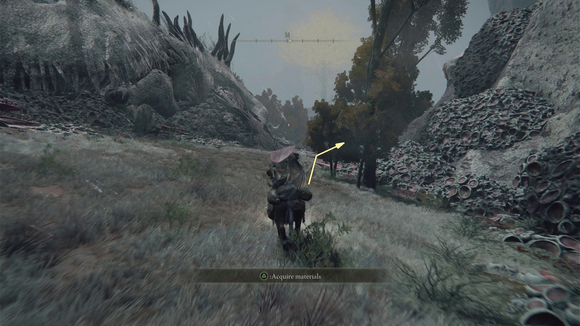 The Tarnished riding Torrent toward the Reed Great Katana location in Elden Ring.