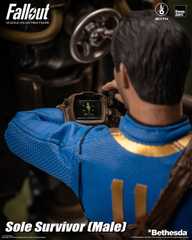 fallout sole survivor pip boy