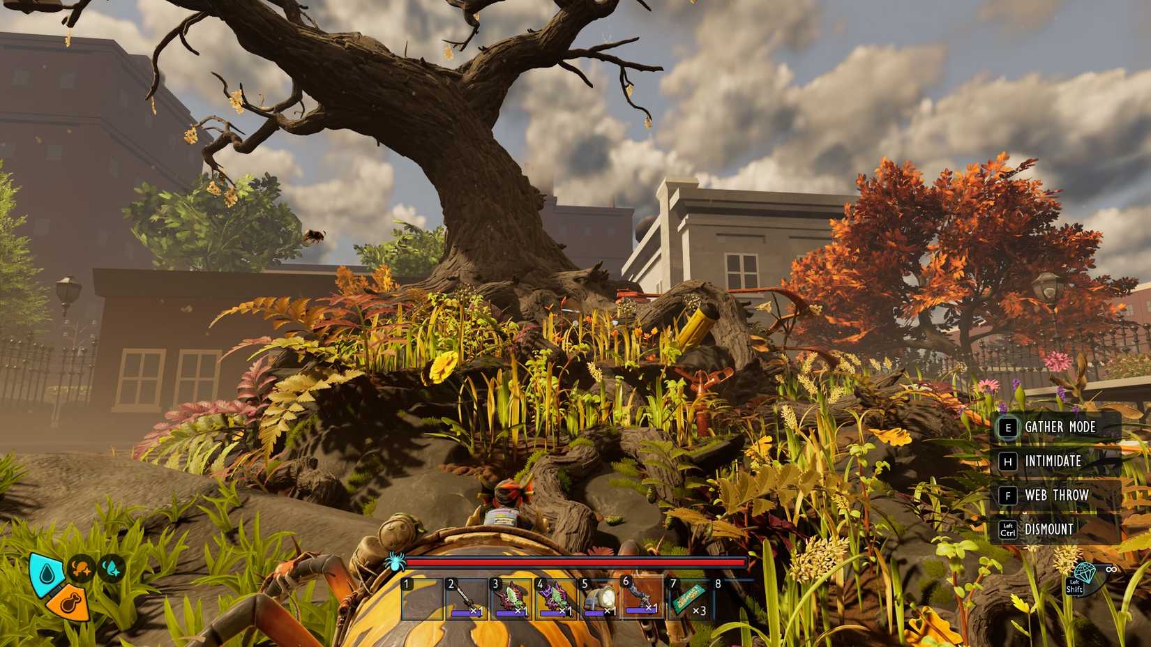 Gnarly Bark Region location for Toe Biter Eggs and Aquatic Optical Disk