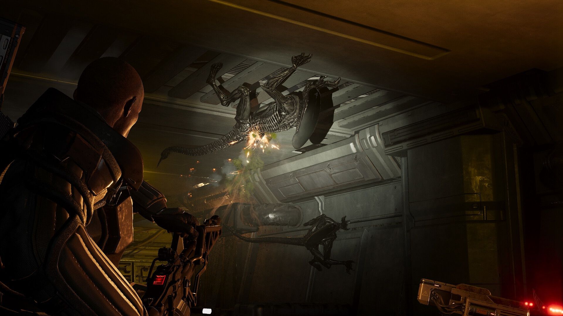 How to Level Up Fast in Aliens Fireteam Elite 2