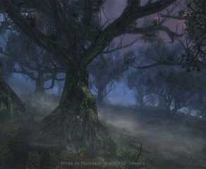lotro nan ogol