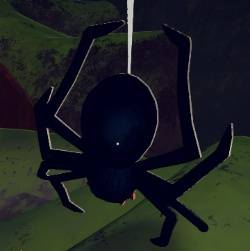 peak spiders