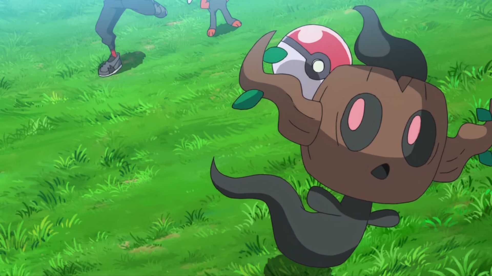 Phantump in the Pokemon anime