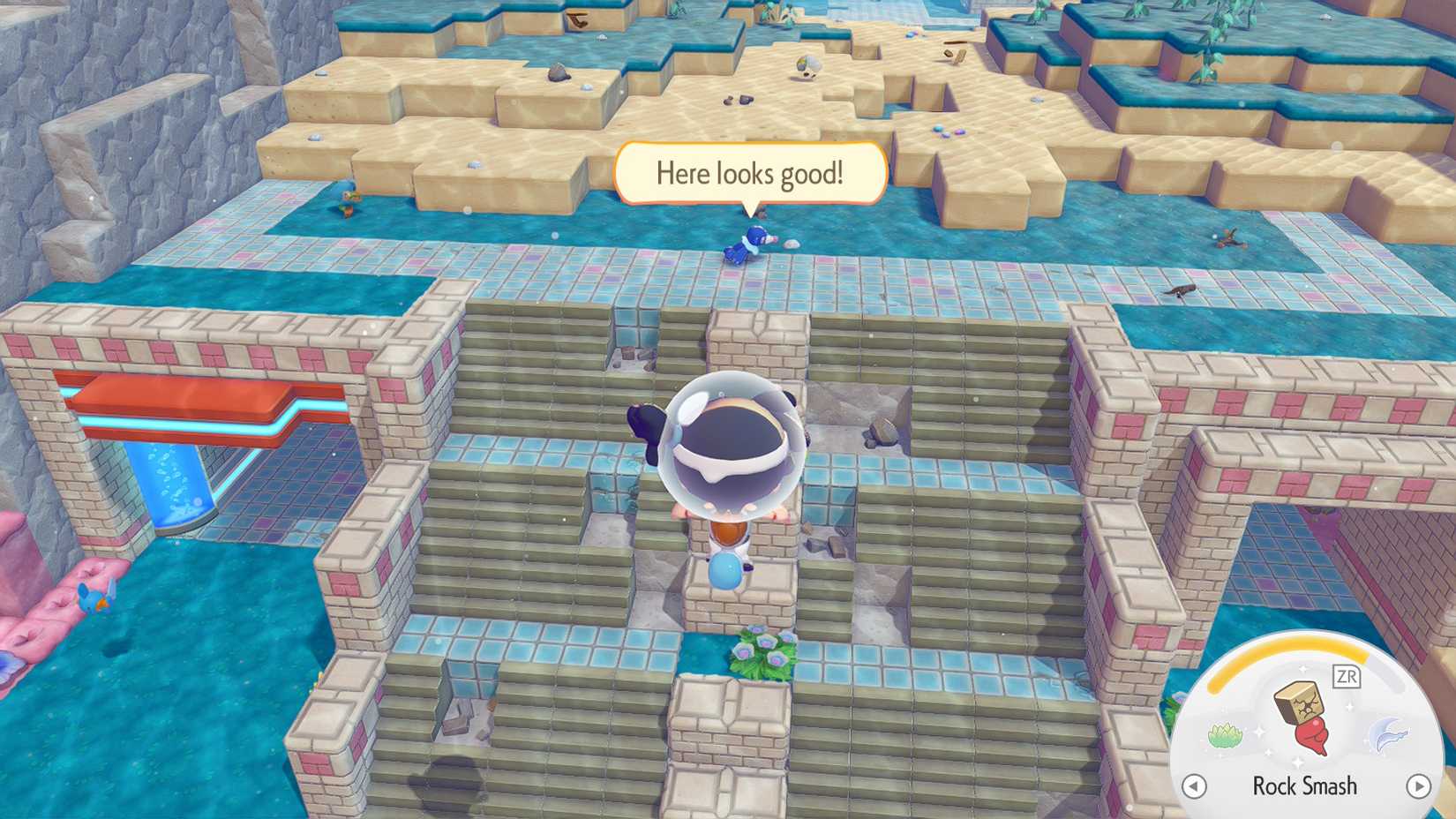 popplio here looks good pokopia