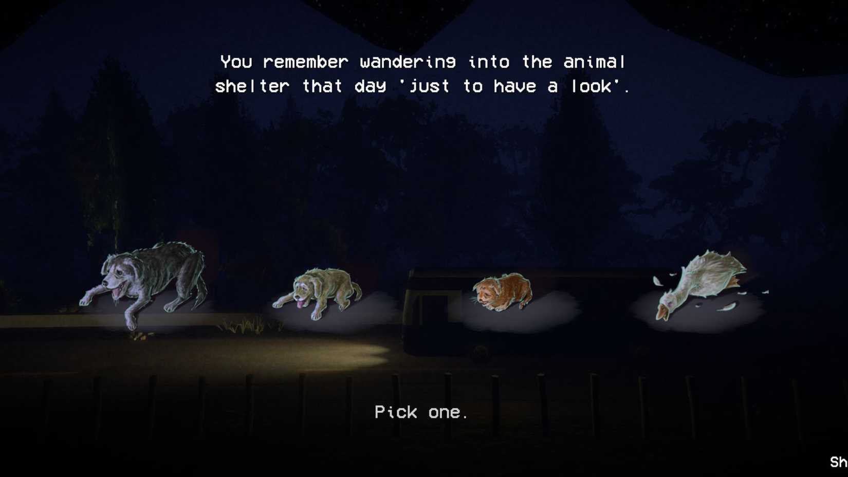 shift at midnight best pet