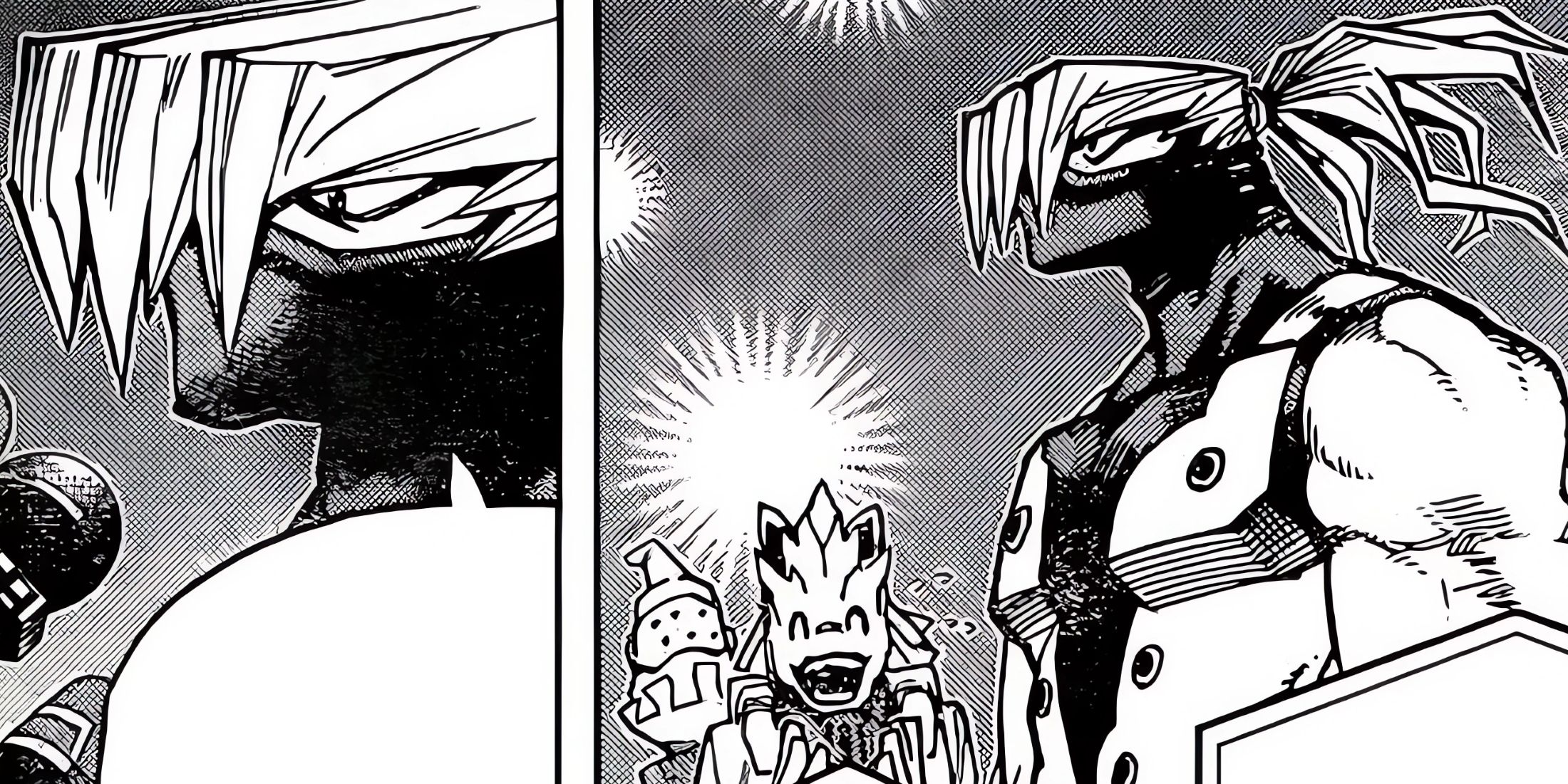 Shoji speaks about Heteromorph rights